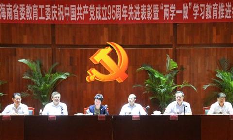 yh533388银河获得“海南省优秀基础党组织”荣誉称号